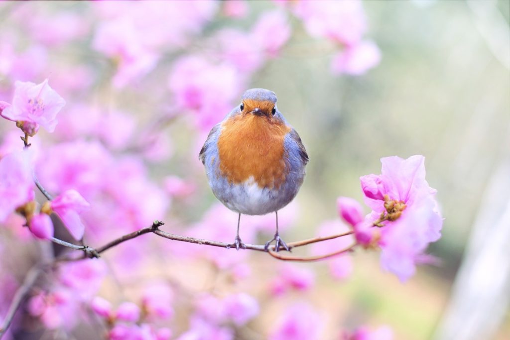 正社員になってアルバイトは卒業しよう、ゴーちゃん。